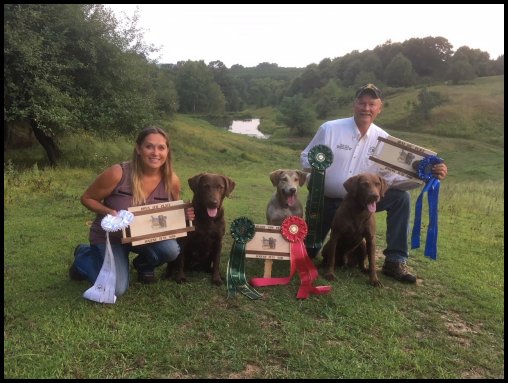 photo of dogs and trophies