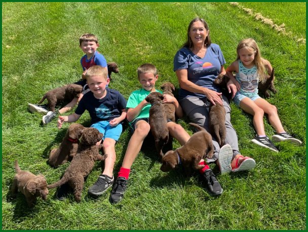 kids with Chesapeake pups