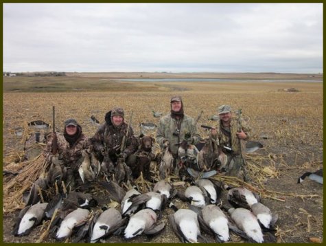 photo of Kodi hunting in North Dakota