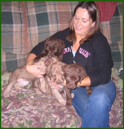 photo of Chesapeake pups